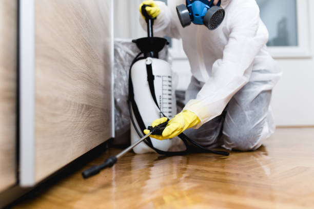Best Rat Extermination Near Me  in Industry, PA
