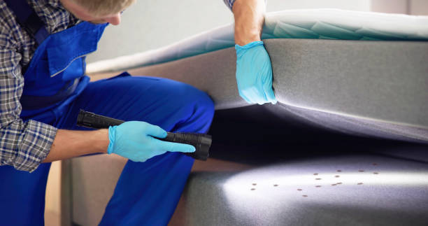 Best Ant Control Services  in Industry, PA