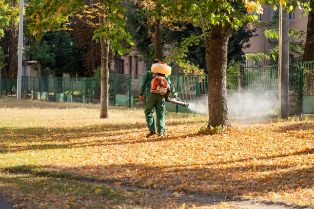 Best Mosquito Control Services  in Industry, PA