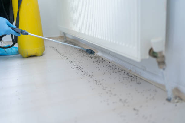 Best Pest Prevention Services  in Industry, PA