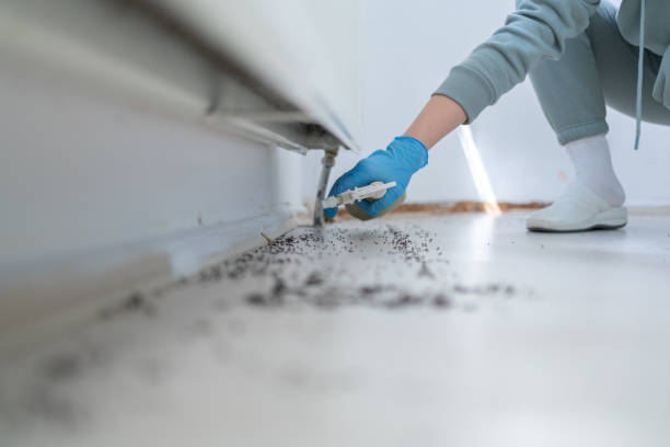 Best Cockroach Control Services  in Industry, PA